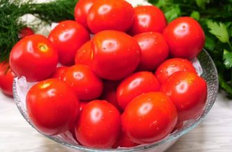 Свежие помидоры до марта месяца