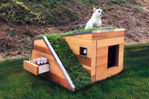 Собачья будка в саду: какой должна быть хорошая будка и где ее поставить в саду