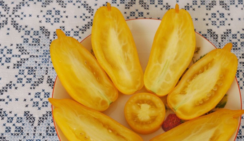 Что такое «банановые ножки» и стоит ли их сажать в своем саду