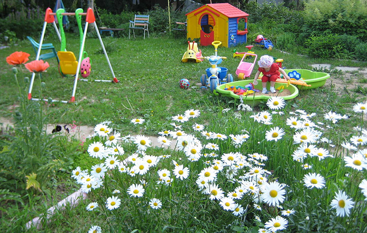Детские площадки на даче: подбор игрового и спортивного инвентаря. Качели, горки, домики и песочницы.