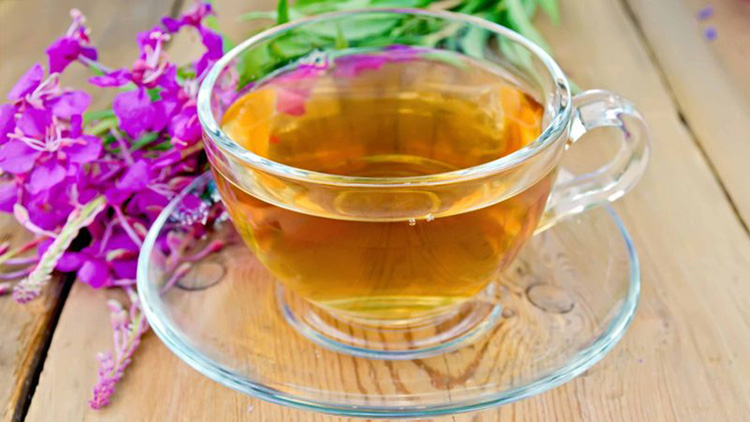 Иван-чай: лечебные свойства и противопоказания