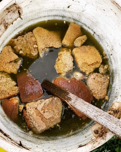 Как удобрять сливы, чтобы они давали более качественные плоды - результат всегда есть