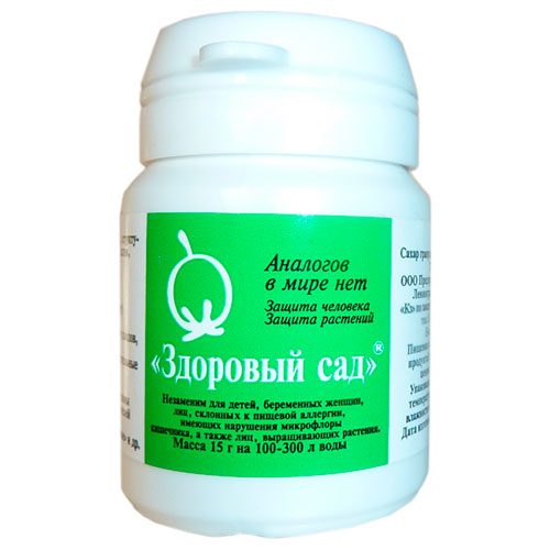 Как удобрять сливы, чтобы они давали более качественные плоды - результат всегда есть