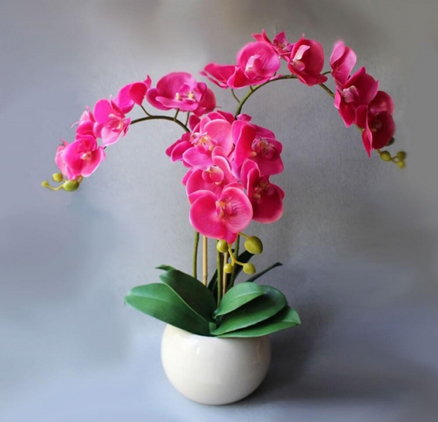 Как правильно поливать орхидею в домашних условиях: правильная технология полива