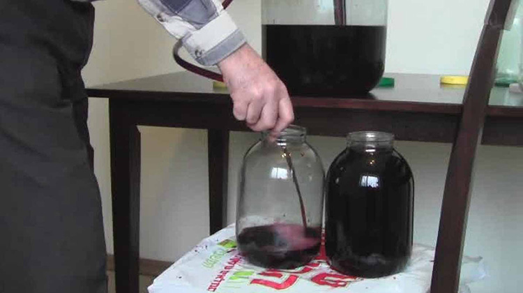 Как правильно приготовить вино из винограда в домашних условиях: рецепты для разных сортов