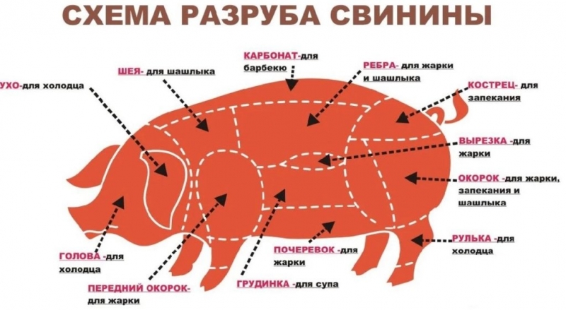 Как правильно разделать тушку из свинины?