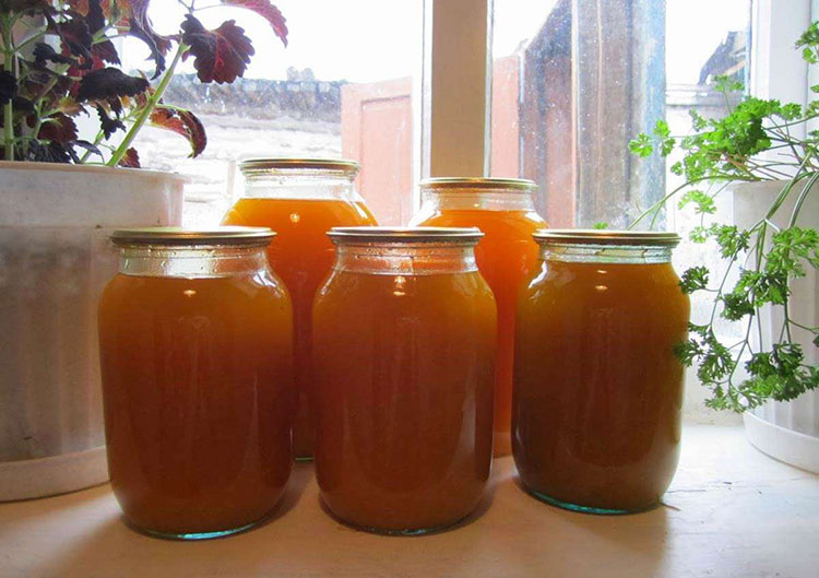 Как сделать домашний тыквенный сок на зиму: способы приготовления, польза домашнего тыквенного сока