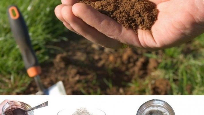 Как проверить кислотность почвы на даче уксусом, содой