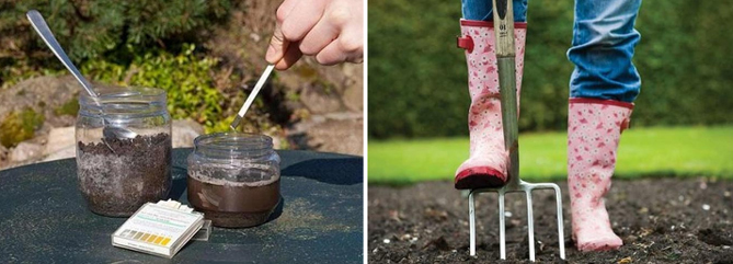 Как проверить кислотность почвы на даче уксусом, содой