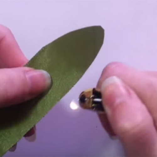 Как сделать цветы из атласных лент своими руками - пошагово