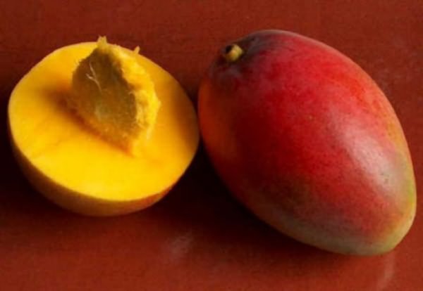 Как вырастить манго из семян