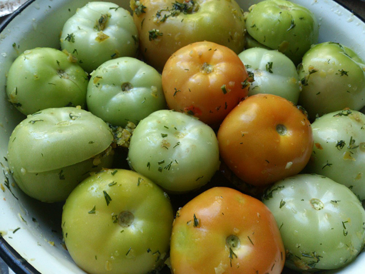 Как замариновать зеленые помидоры на зиму: рецепты
