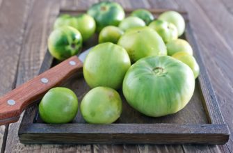 Как засолить зелёные помидоры на зиму: рецепты