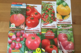 Какие семена овощей я купила в этом году и почему