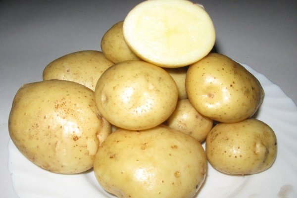 Какие сорта картофеля подходят для выращивания в Сибири?