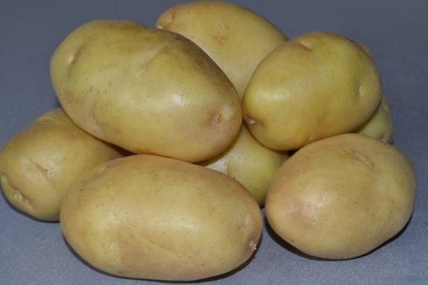 Какие сорта картофеля подходят для выращивания в Сибири?