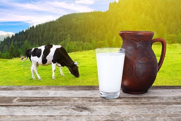 Какое бывает молоко: разновидности и их особенности