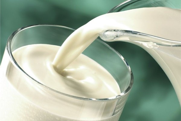 Что такое молоко: сорта и их характеристика