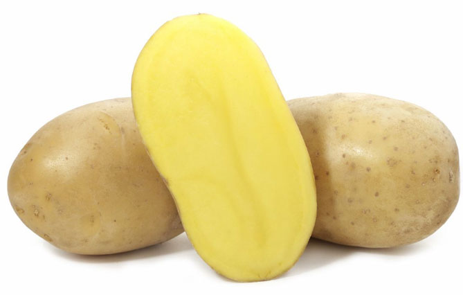 Картофель Вега - характеристика сорта, отзывы, вкус, фото