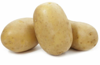Картофель Вега – характеристика сорта, отзывы, вкусовые качества, фото