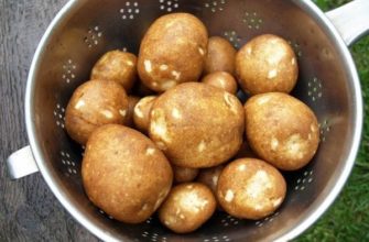 Киви – уникальный сорт картофеля