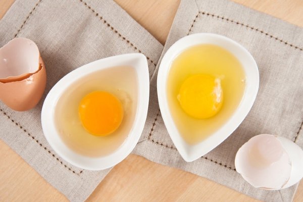 Куриное яйцо: строение и химический состав
