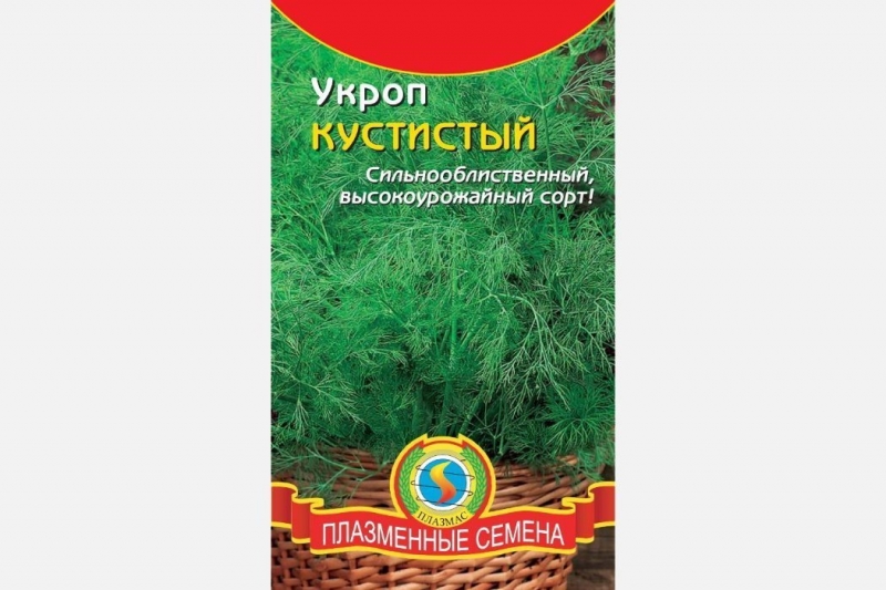 Укроп кустистый: характеристика и инструкция по выращиванию