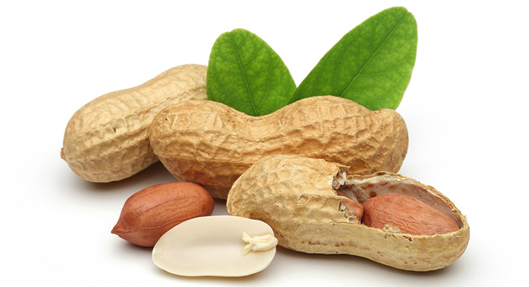 Любимый арахис из детства: польза и вред для человеческого организма: арахис для женщин, детей и мужчин на каждый день.