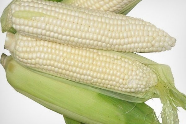 Лучшие сорта кукурузы и их описание