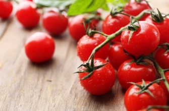 Лучшие сорта помидоров Черри и рекомендации по выращиванию