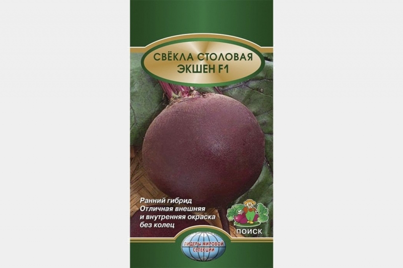 Лучшие сорта свеклы для выращивания и хранения в Сибири