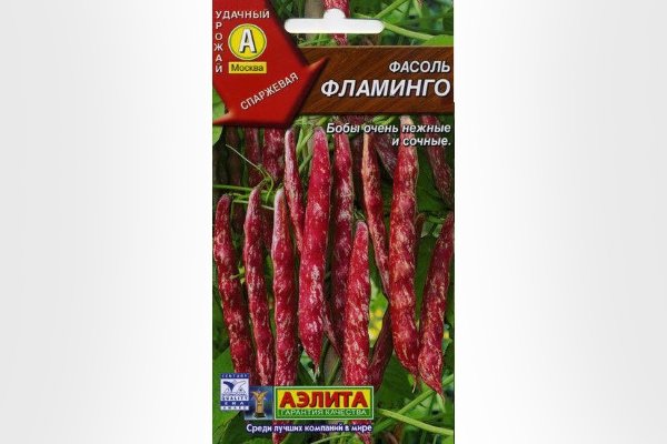 Лучшие сорта кудрявой фасоли и кустарников