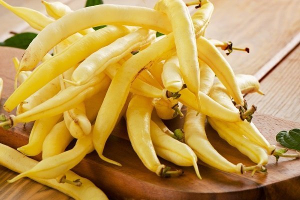 Лучшие сорта кудрявой фасоли и кустарников
