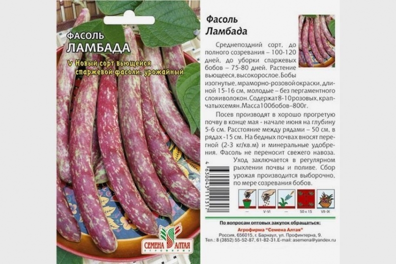 Лучшие сорта кудрявой фасоли и кустарников