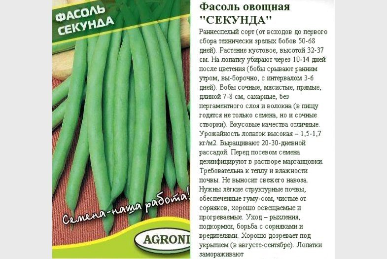 Лучшие сорта кудрявой фасоли и кустарников