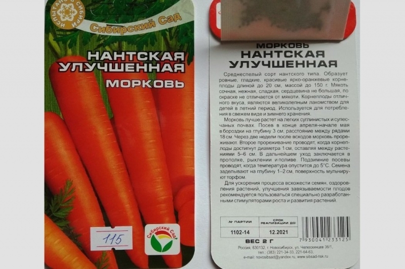Обзор классического сорта моркови Нант