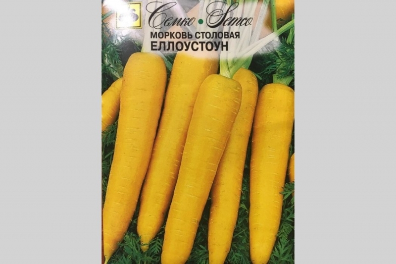 Обзор желтой моркови и правил ее выращивания