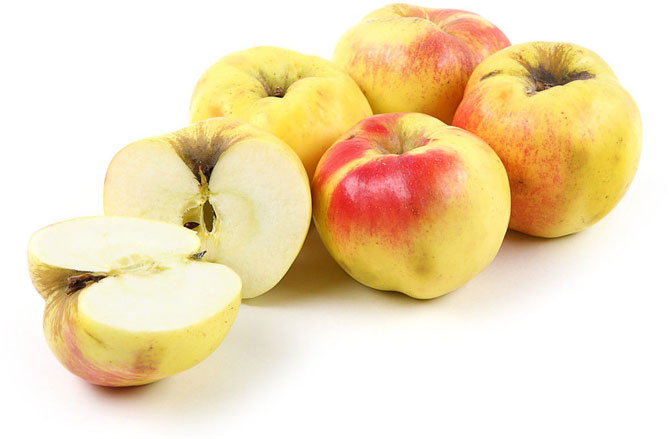 Описание сорта яблони Богатырь: морозостойкость, опылители, отзывы