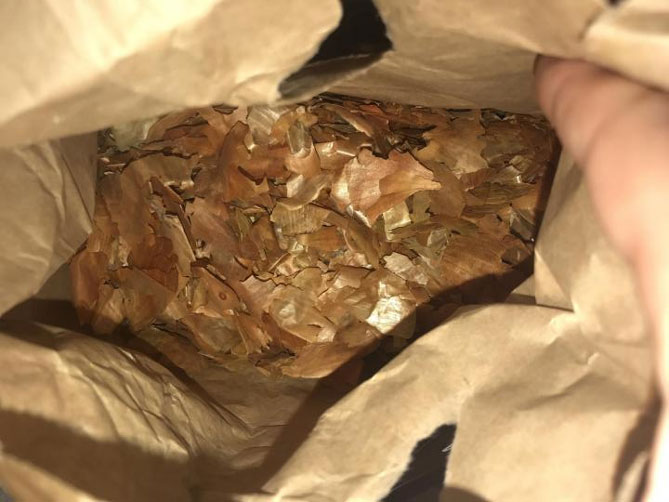 Отвар и настой луковой шелухи - использование в саду и на огороде