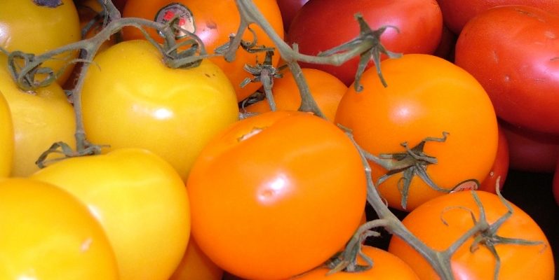 Почему я выбираю для выращивания оранжевые и желтые томаты
