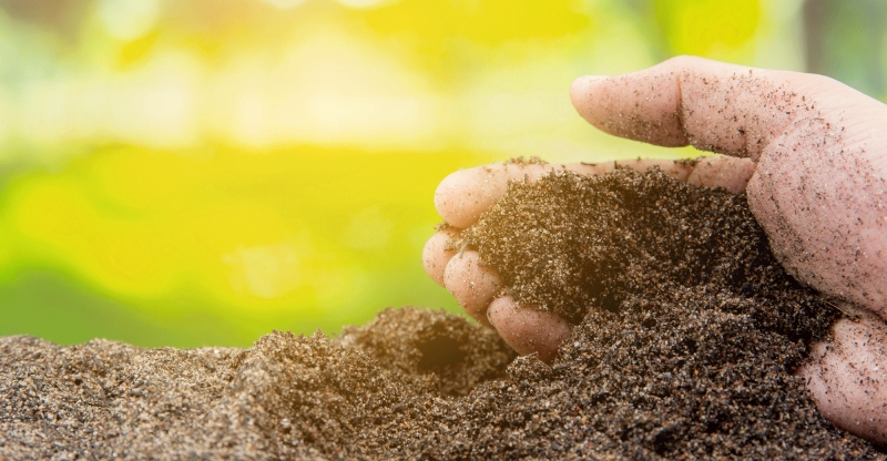 Подготовка почвы для рассады: правила и нюансы
