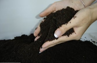 Подготовка почвы для рассады правила и нюансы