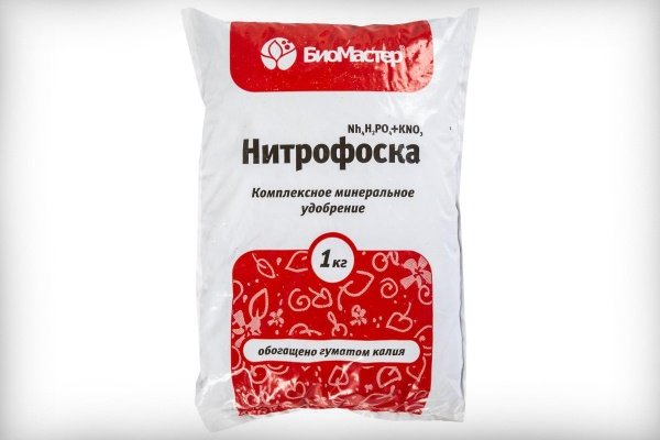 Подкормка рассады томатов: чем, когда и как?