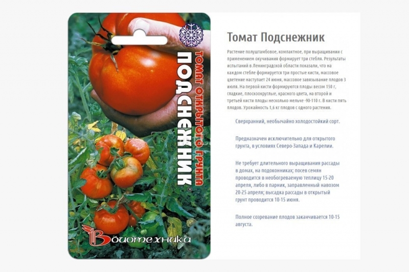 Подробный обзор томата Буканеве и правил его выращивания