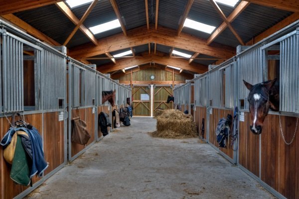 Поэтапное строительство конюшни для лошадей