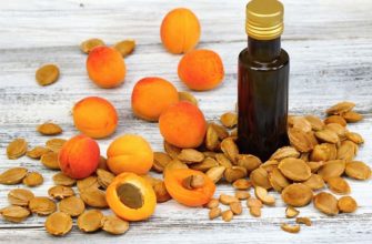 Природа для вашей красоты: абрикосовое масло. Применение для лица и не только: полезные свойства и противопоказания