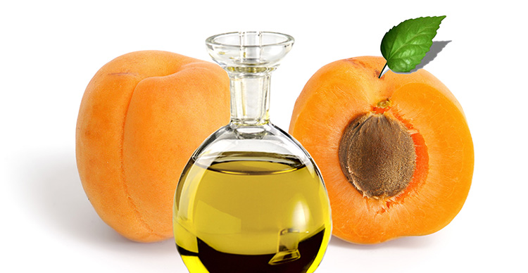 Природа для вашей красоты: масло абрикоса. Применение для лица и не только: полезные свойства и противопоказания