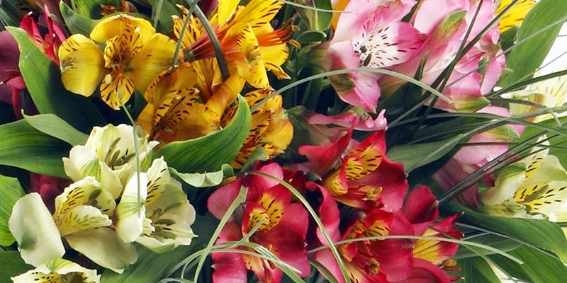 Продлеваем растению жизнь, или Как сохранить цветы в вазе