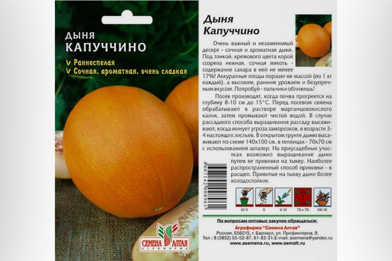 Лучшие сорта дынь: их характеристика и выращивание