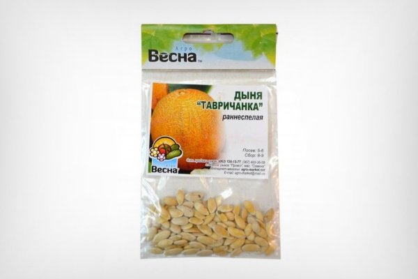 Лучшие сорта дынь: их характеристика и выращивание